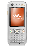 immagine rappresentativa di Sony Ericsson W890